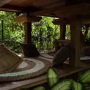  Lodge Roots Tree House Indonesië