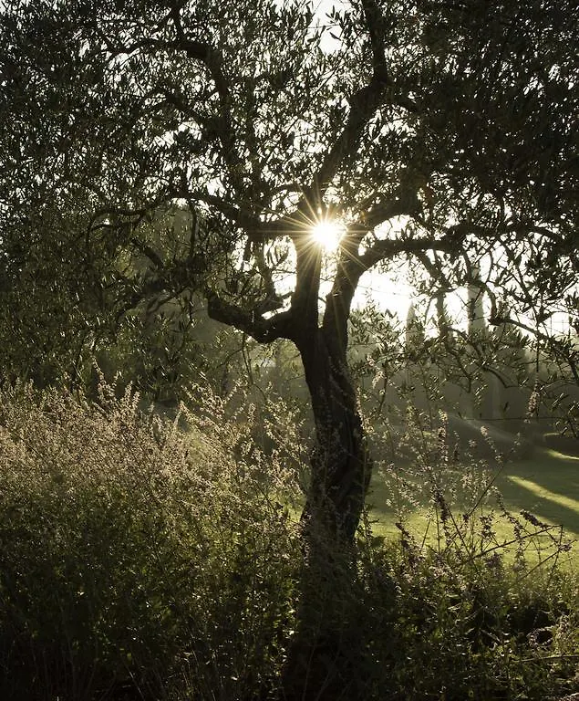 Tenuta Santo Pietro Pienza Italien